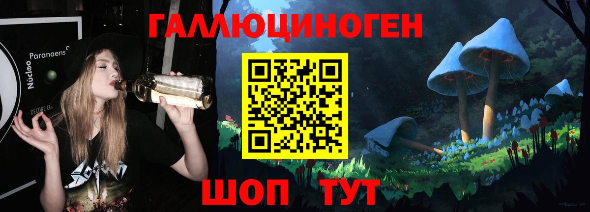 Псилоцибиновые грибы Psilocybine cubensis Россия